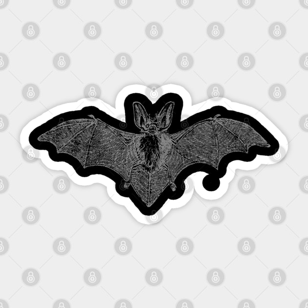 Vintage Bat Sticker by chrisraimoart